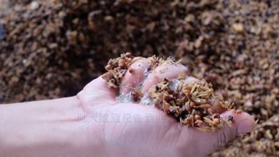 用小型燒酒設(shè)備蒸酒時，酒醅含水量也會影響白酒口感和出酒率？