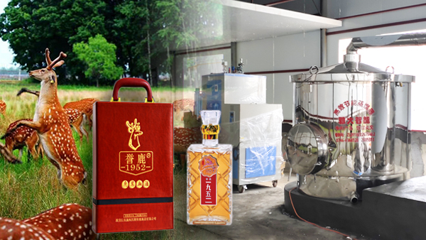 用大型釀酒設備釀鹿茸酒，走出黑龍江生態(tài)旅游發(fā)展特色之路！