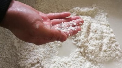10年釀酒經(jīng)驗的大型釀酒設(shè)備廠家，教您做金銀花糯米酒！
