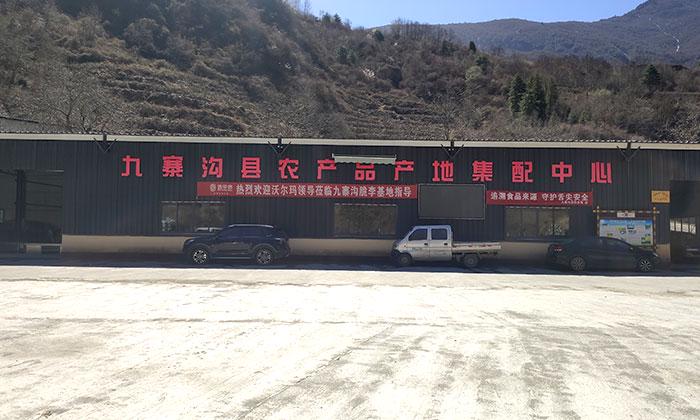 建立冷鏈物流體系