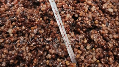 做酒設(shè)備釀固態(tài)高粱酒控制好這5個(gè)溫度，出酒率瞬間提高！
