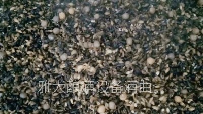 用小型酒廠釀酒設(shè)備做黑大麥酒，開家個(gè)性化的釀酒作坊！