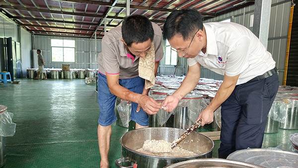 酒坊擴規(guī) 烤酒設(shè)備升級，沒技術(shù)老師多次上門指導怎么行？