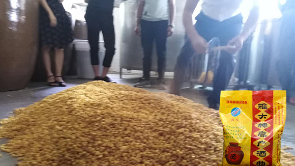 40年老師傅用糧食釀酒設備做酒有訣竅，蒸餾蒸糧一步到位！