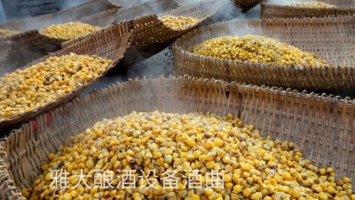 看過(guò)來(lái)，用玉米釀酒設(shè)備制作整料玉米酒的標(biāo)準(zhǔn)教程在這里！