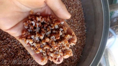 用高粱釀酒設(shè)備做高粱酒時(shí)不加糠殼，可以釀出酒來(lái)嗎？