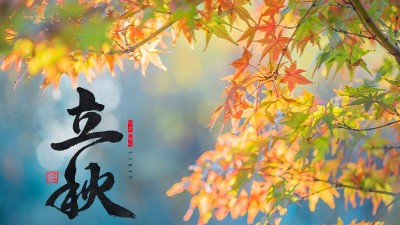 立秋 | 盛夏暑氣遠，酒中秋色濃