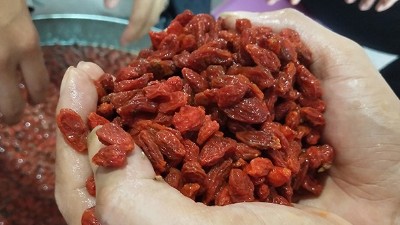 學(xué)會(huì)枸杞酒的三種常見(jiàn)釀酒技術(shù)，您就是釀酒高手！
