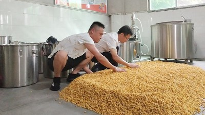 是誰(shuí)給他這個(gè)膽，三伏天還敢用烤酒設(shè)備做顆粒固態(tài)玉米酒？