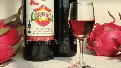 雅大釀酒設(shè)備廠(chǎng)家，果酒研發(fā)一年四季不打烊