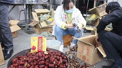 “五一”假期出游新風(fēng)向，自駕車來大型釀酒設(shè)備廠家實操釀紅棗酒