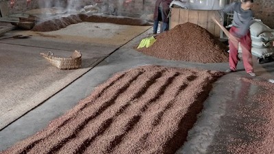咱家不差錢，你又一把年紀(jì)了，何必堅(jiān)持用中型釀酒設(shè)備做酒？