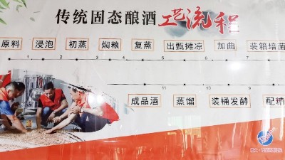 新型釀酒設(shè)備釀酒，當傳統(tǒng)遇上新工藝？你的選擇是什么？