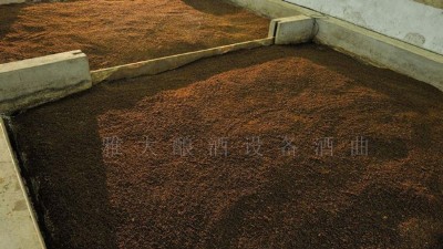做固態(tài)酒容易酸酒怎么辦？釀酒設備廠家釀酒師為您支招！