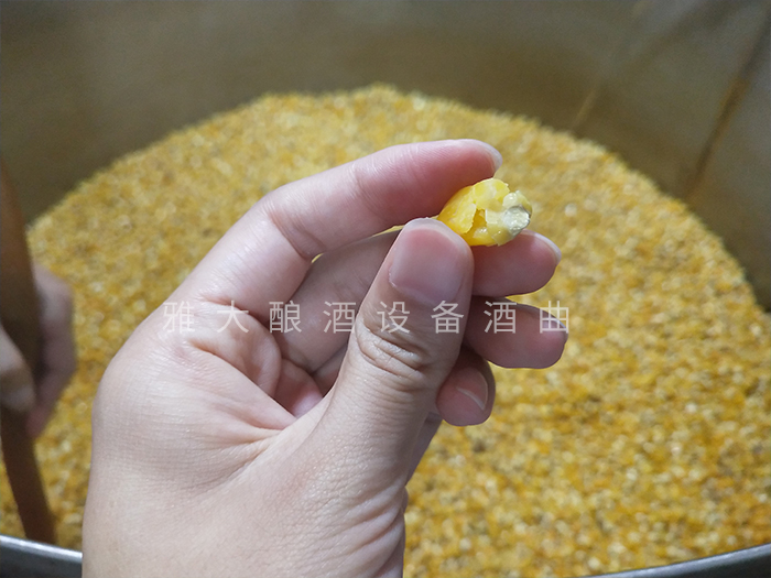 2.2檢查玉米是否泡好