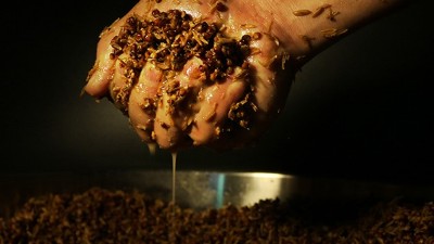 明明發(fā)酵得很好，為什么用小型釀酒設(shè)備蒸酒時就是不出酒？