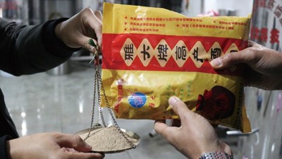 為了多出酒，100斤糧食多加1倍用量的酒曲，結(jié)果……