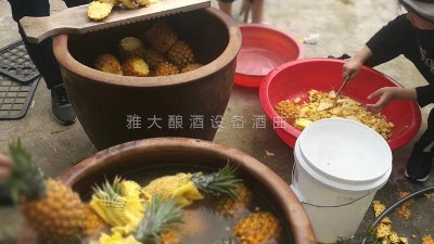 用果酒釀酒設(shè)備做菠蘿酒，簡(jiǎn)單易學(xué)，只需簡(jiǎn)單幾步。