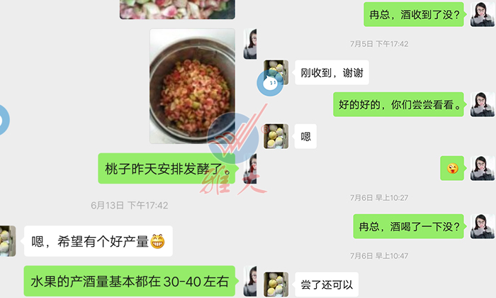 10.28雅大幫忙研發(fā)的黃桃酒，冉總品嘗后很滿(mǎn)意