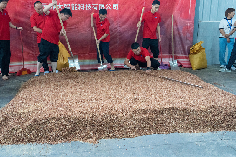 堆霜糖化