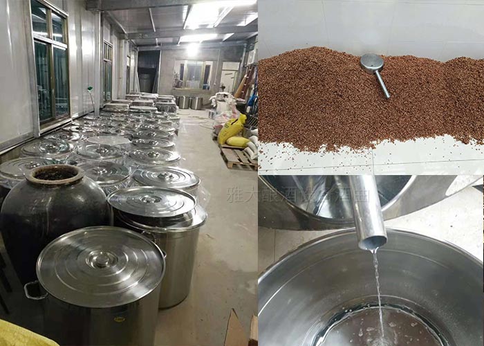12-潘姐用釀酒新設備做酒半年，通過朋友圈快速打開當地酒市場！4