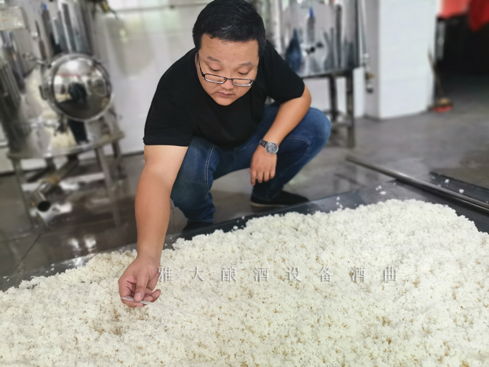 12.22米酒1對(duì)1實(shí)操課測量溫度5